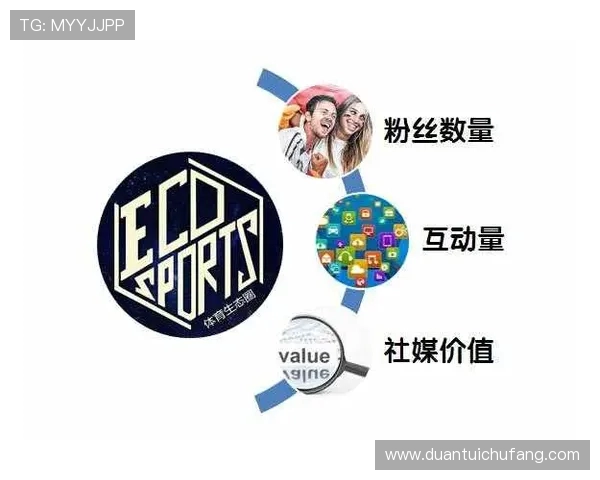 职业俱乐部在社交平台的粉丝活跃度